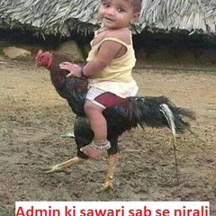 whats app funny videos