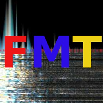FMT