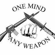 Intelligent Combat Applications