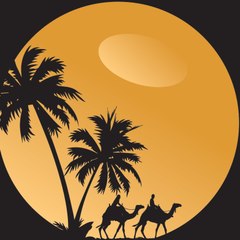 Discover Morocco Tours