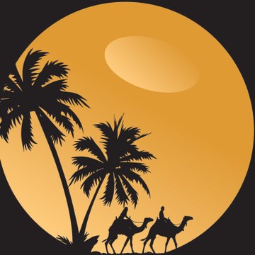 Discover Morocco Tours