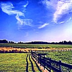 Daviddadisman52