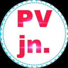 Popular Video Junction