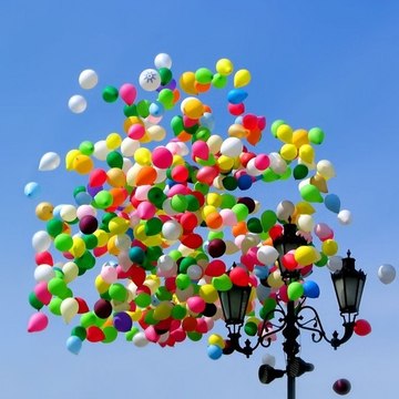 supercrazyvideofest568