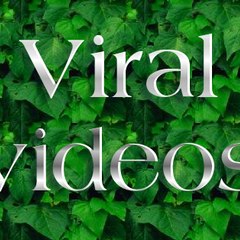 viral 365
