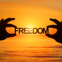 FreedomChanel