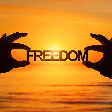 FreedomChanel