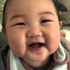 funny videos