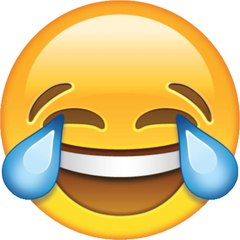crazy4fun