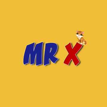 MR X