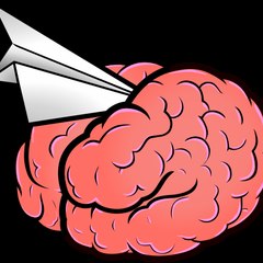 Plane To The Brain ES