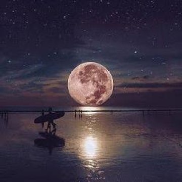 Funny Channel