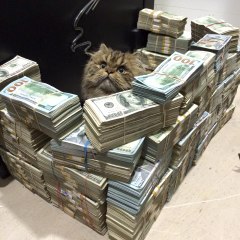 Thug Life