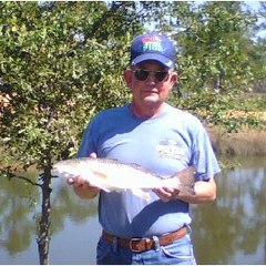 Avalon Landing RV Park / Pensacola East