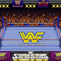 WRESTLING ARCADE MATCHUPS