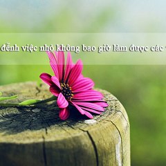 Make Dream Come True