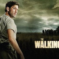 The Walking Dead  Online Stream