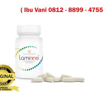 Harga Laminine
