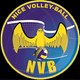 nicevolleyball