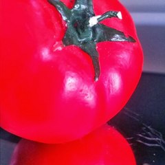 Produkcija Tomato