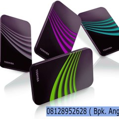 Recovery Hardisk Internal