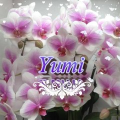 Yumi Utsugi