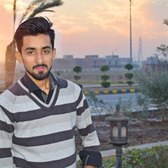 Muhammad Aleem