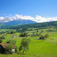 موقع الاسود fx Black site fx -