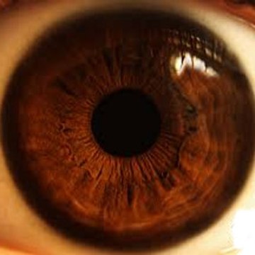 LookWithYourEyes