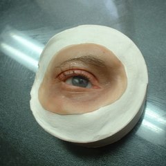 Laboratoire d'épithèses faciales Gauyau