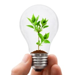 Energy Saving Grants