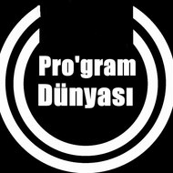 Program Dünyası