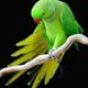 HD Songs & Movies