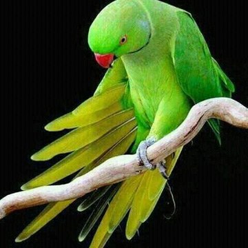 HD Songs & Movies