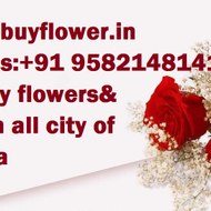 Floristdelhi