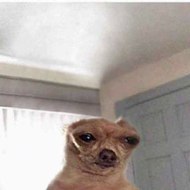 Brayanphillipe #ConTV