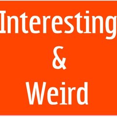 Interesting&Weird