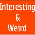 Interesting&Weird