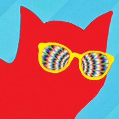 Funny Cat