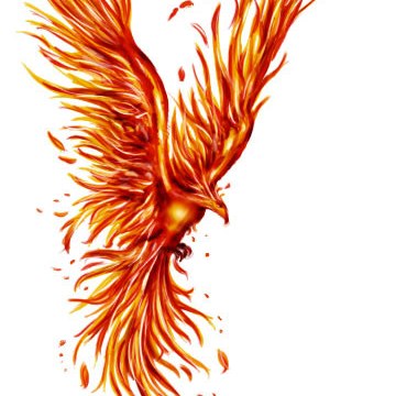 Anjo 360