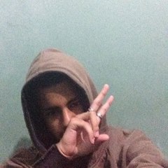 Esquilo Negao