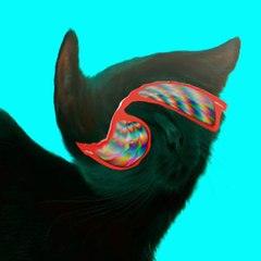 Funky Jooj Cat