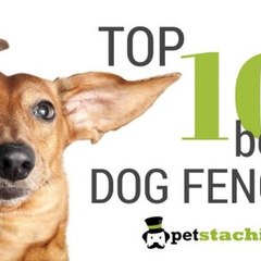 Petstachio11