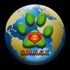 Seamos Mas Animales Como Ellos