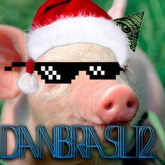 DANIBRASIL12