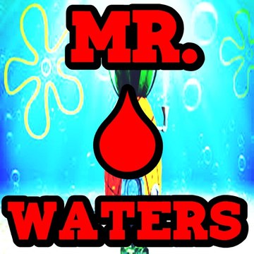 Mr. Waters