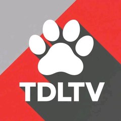 Tóca do leão tv