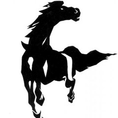 SrCavalo