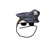 PolicialPilungo