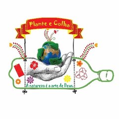 Colha Plante e